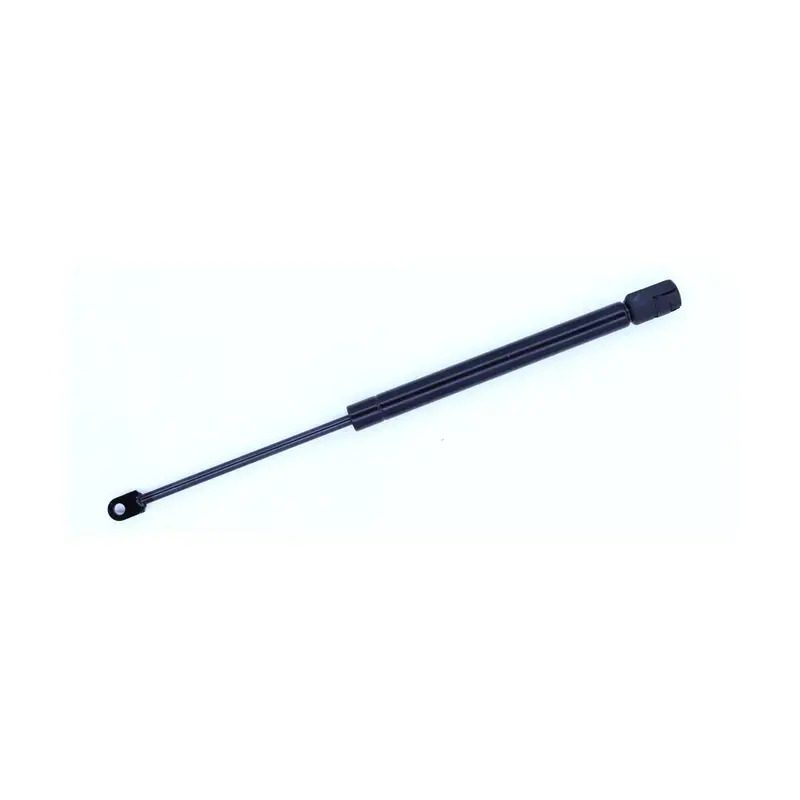 Don’t Miss Out SUP-613881 - Trunk Lid Lift Support | Tuff Support