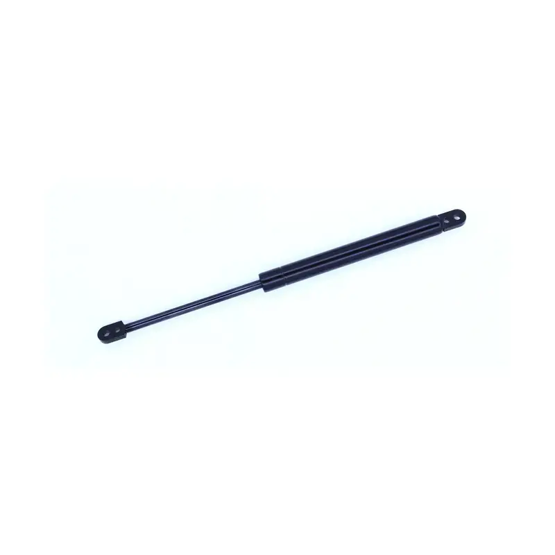 Don’t Miss Out SUP-613925 - Trunk Lid Lift Support | Tuff Support