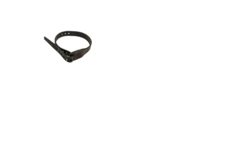 Limited Offer Giant Loop Pronghorn Straps 18 inches - Black
