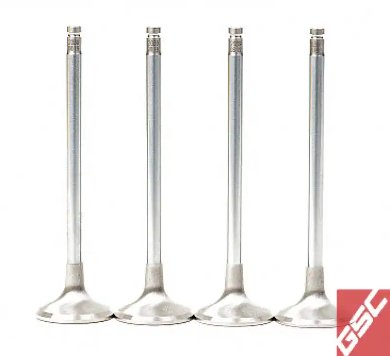 GSC P-D Honda B-Series B16A/B17A/B18C Chrome Alloy Exhaust Valve 28mm Head - 6mm Stem - Set of 8 Secure Checkout