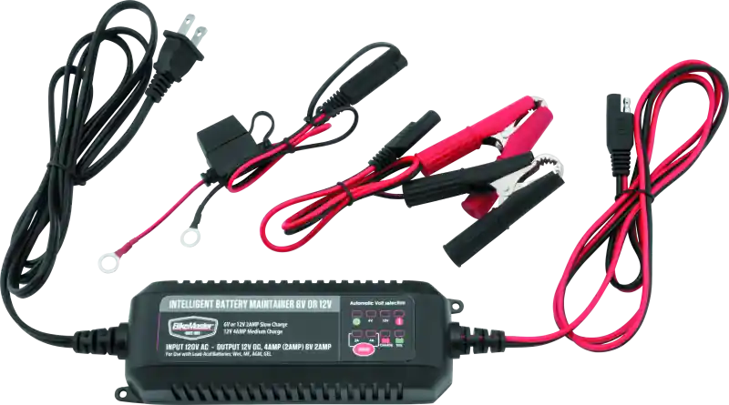 BikeMaster Intelligent Battery Charger Factory Price