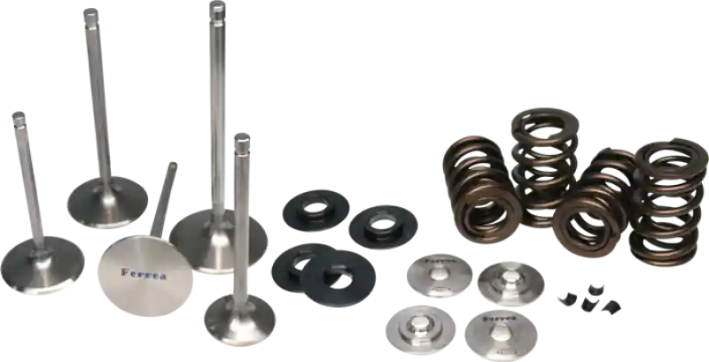 Get Yours Ferrea 09-13 VW 2.0T TSI / 15-16 VW Golf R 2.0T TSI Single Spring Kit