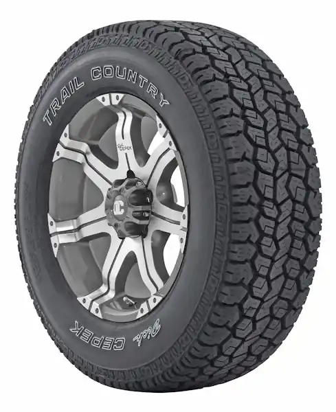 Dick Cepek 90000002048 Passenger SUV(4X4) Radial Tire Limited Offer
